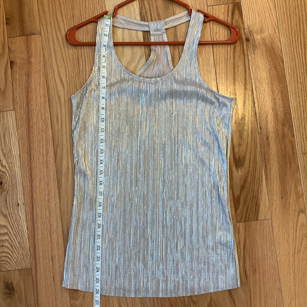 Express silver halter